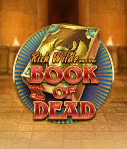 Dive into the thrilling world of Book of Dead Slot by Play'n GO, presenting vivid graphics of Rich Wilde’s adventurous journey through ancient Egyptian tombs and artifacts. Find lost riches with captivating mechanics like free spins, expanding icons, and a gamble option. Ideal for those seeking adventure with a desire for exciting finds.